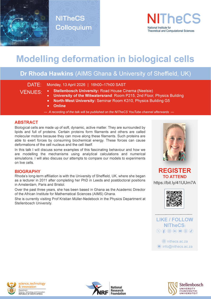 Modelling deformation in biological cells poster