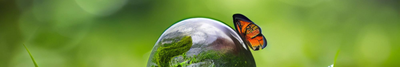 Complexity in Biological Systems E5: Unravelling Complexity in Coupled Earth, Environmental, Economic, Ecological and Evolutionary Systems
